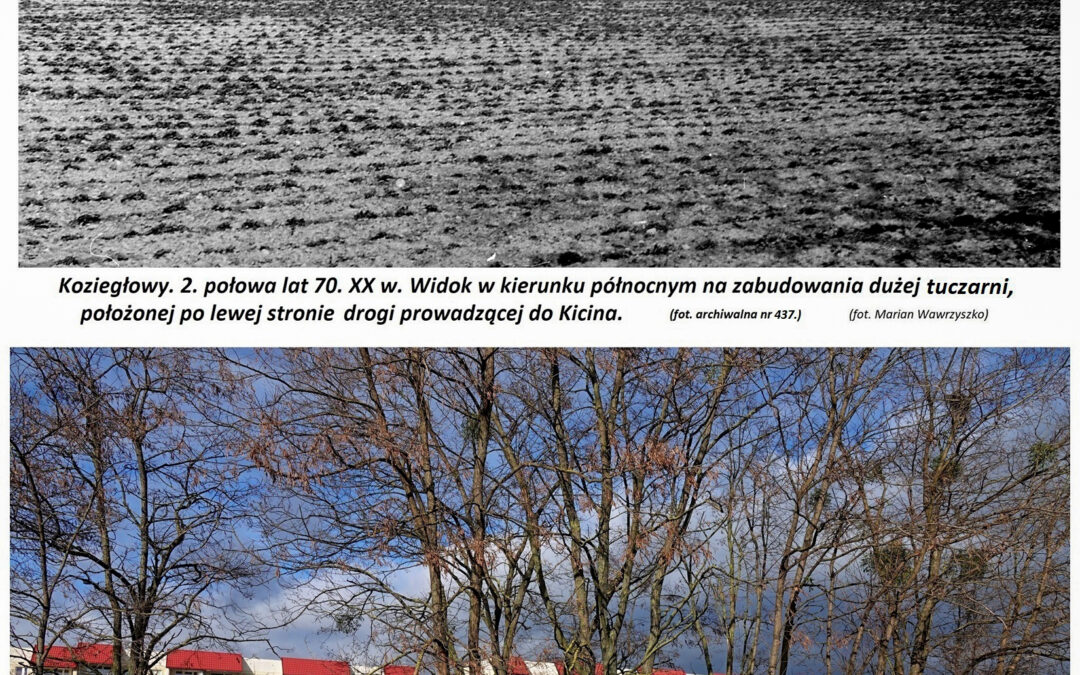 Widok na tuczarnię