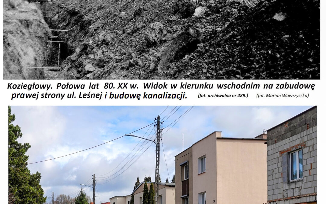 Widok na zabudowę prawej strony ulicy Leśnej