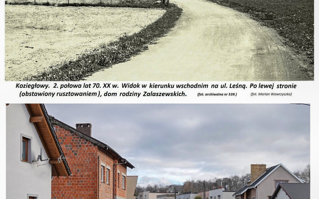 Widok na ulicę Leśną