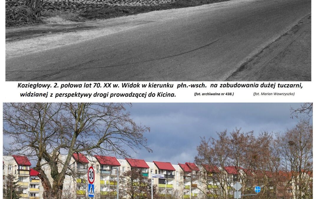 Widok na tuczarnię