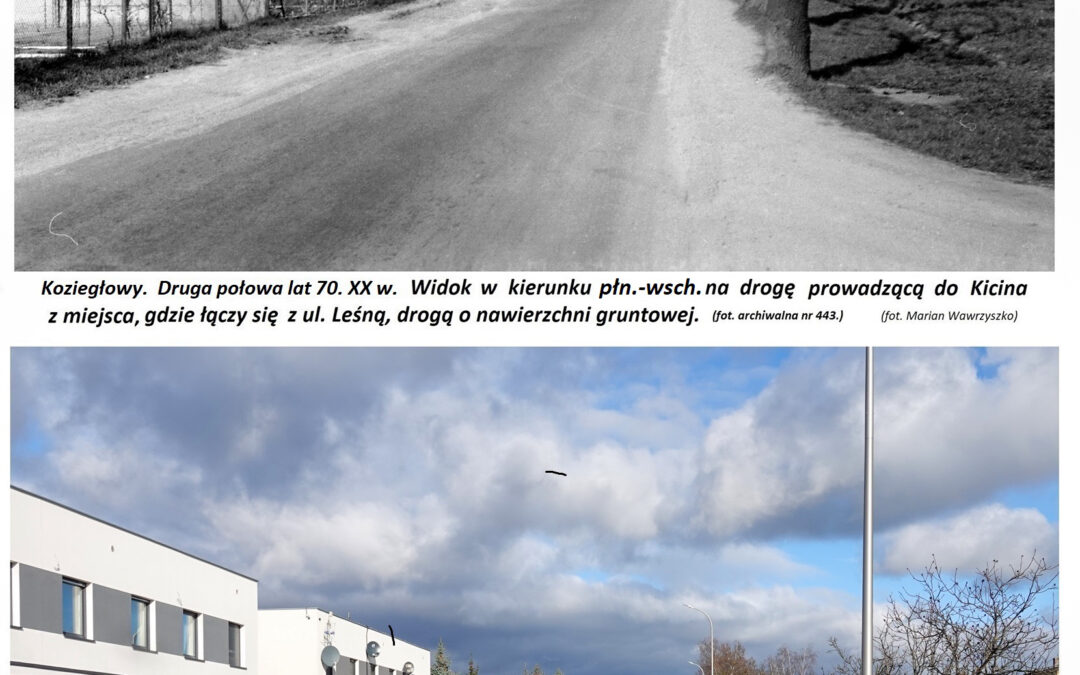 Widok na drogę do Kicina