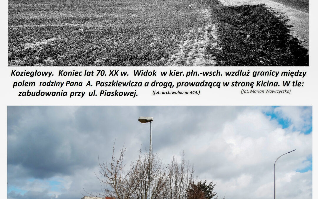 Widok na drogę do Kicina