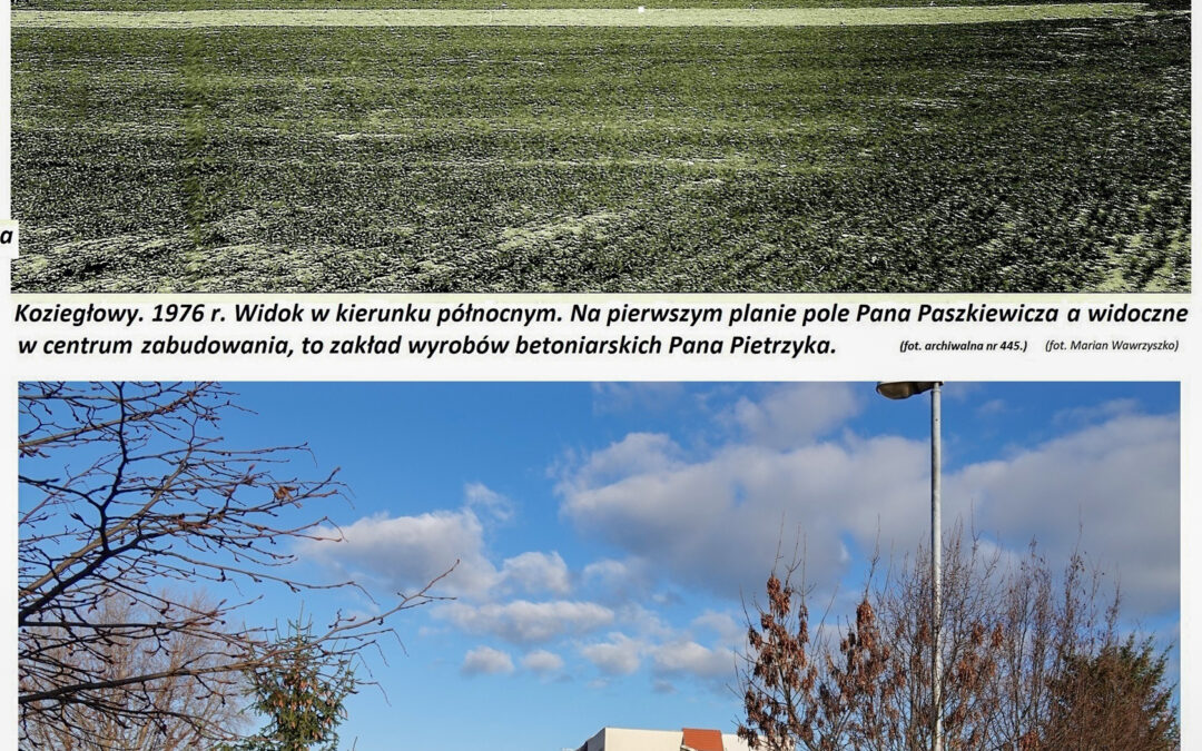 Widok na pola i zakład betoniarski