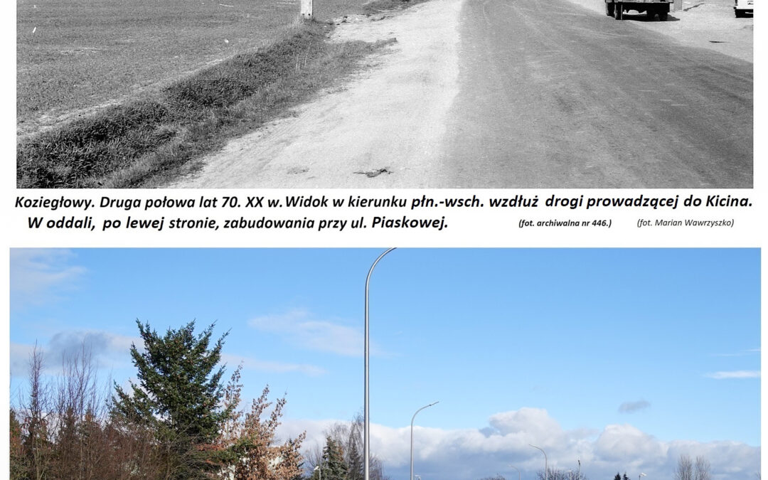 Widok na zabudowania wzdłuż drogi do Kicina