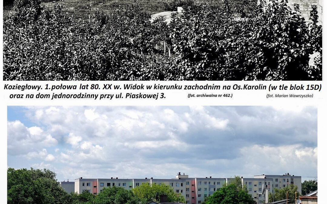 Widok na osiedle Karolin