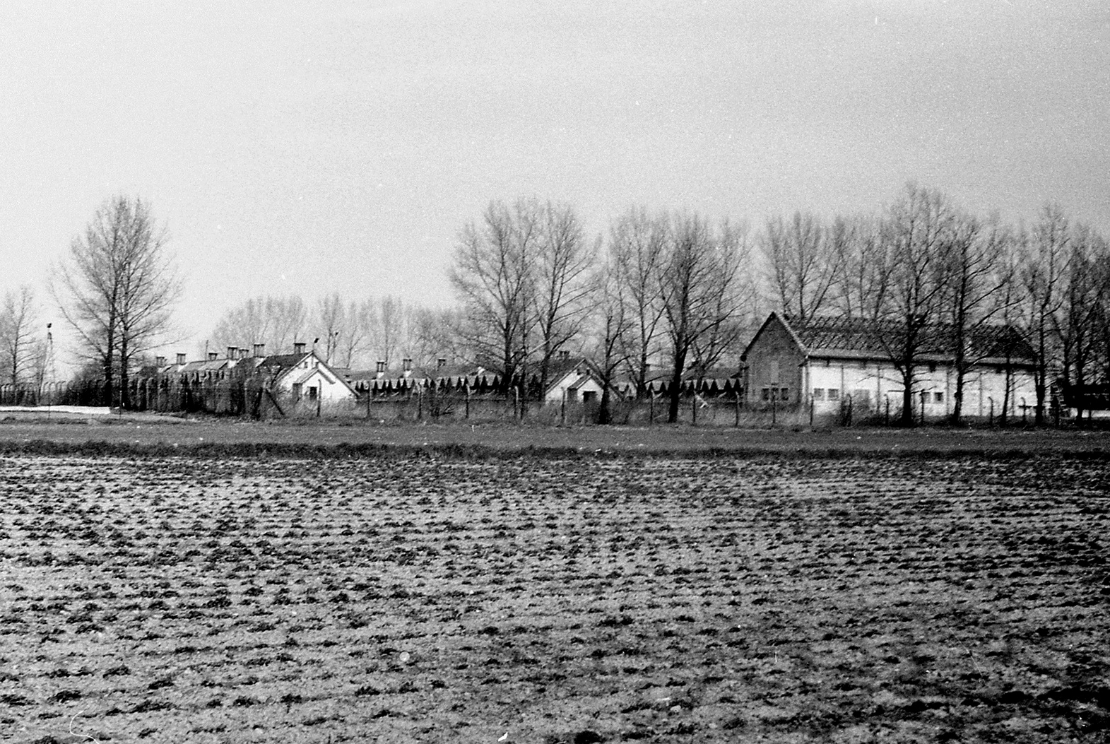 kozieglowy-kolekcja